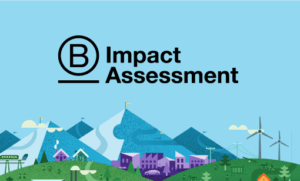 B Impact Assessment Como Ferramenta De Avaliação De Impacto - We.Flow